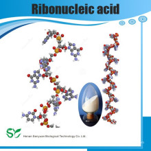 Hochwertige reine RNA Natrium, 73049-39-5, Ribonukleinsäure Natrium GMP Hersteller